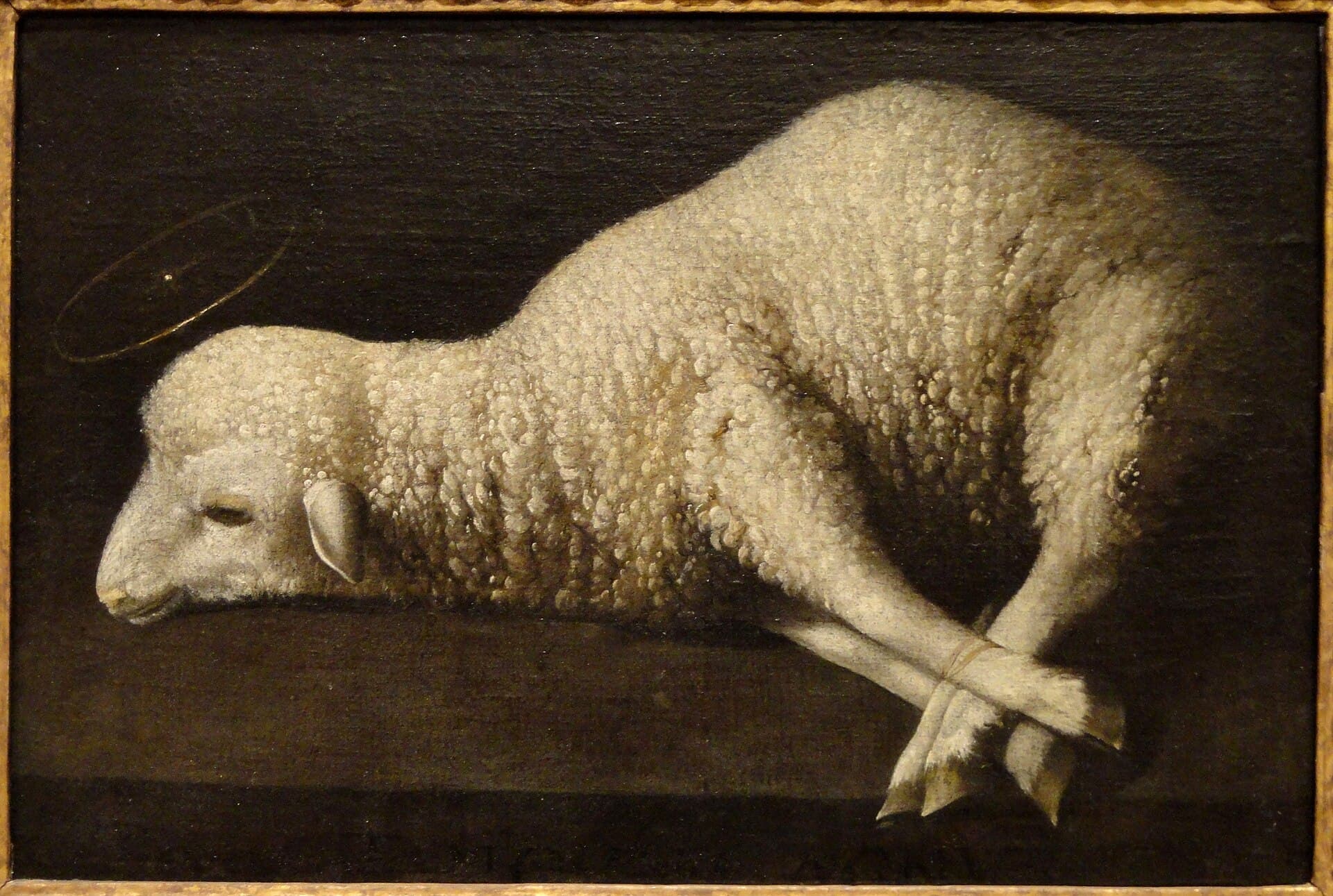 Agnus Dei — the bound lamb, image of Christ the Victim.